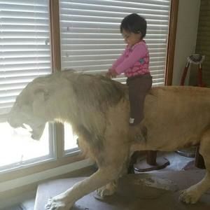 Meet your Posher, Timothy